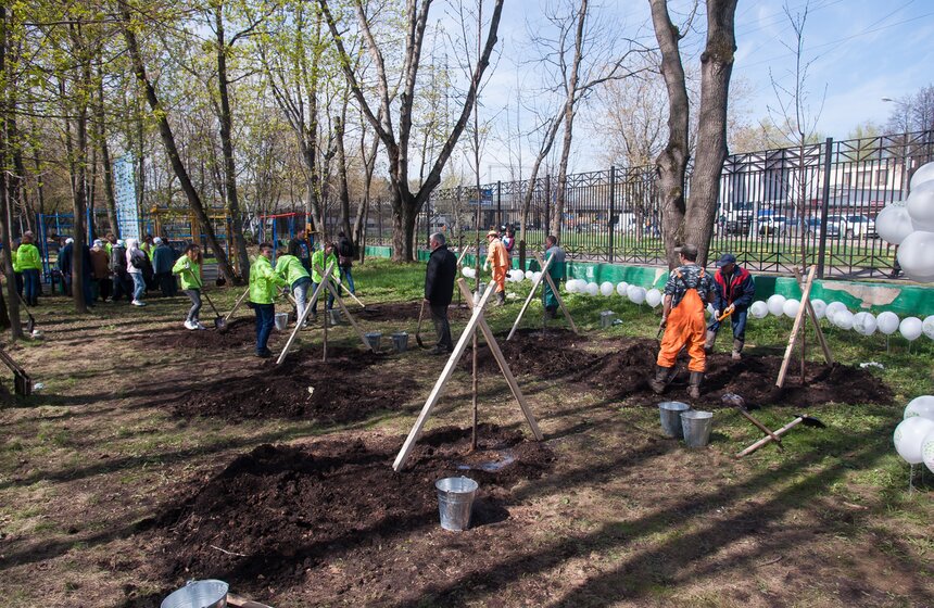 Антон Кульбачевский вместе с ветеранами высадили деревья 21 фото