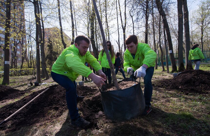Антон Кульбачевский вместе с ветеранами высадили деревья 6 фото