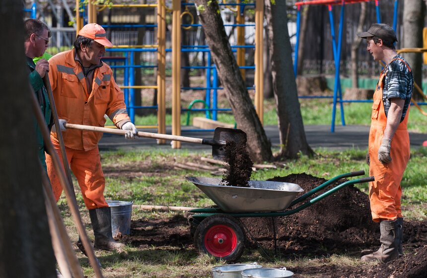 Антон Кульбачевский вместе с ветеранами высадили деревья 5 фото