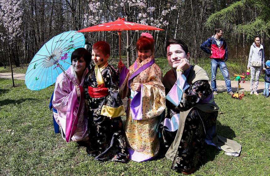 Праздник цветения сакуры "Ханами" в Бирюлевском дендропарке 5 фото
