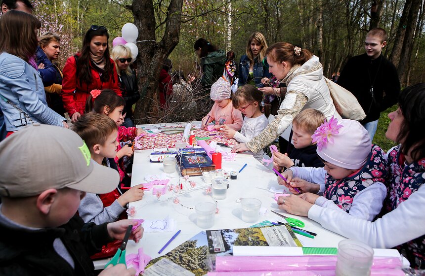 Праздник цветения сакуры "Ханами" в Бирюлевском дендропарке 7 фото