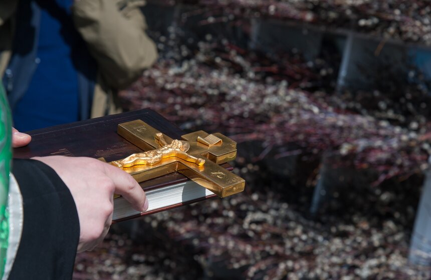 На Театральной площади отметили Вербное Воскресенье 3 фото