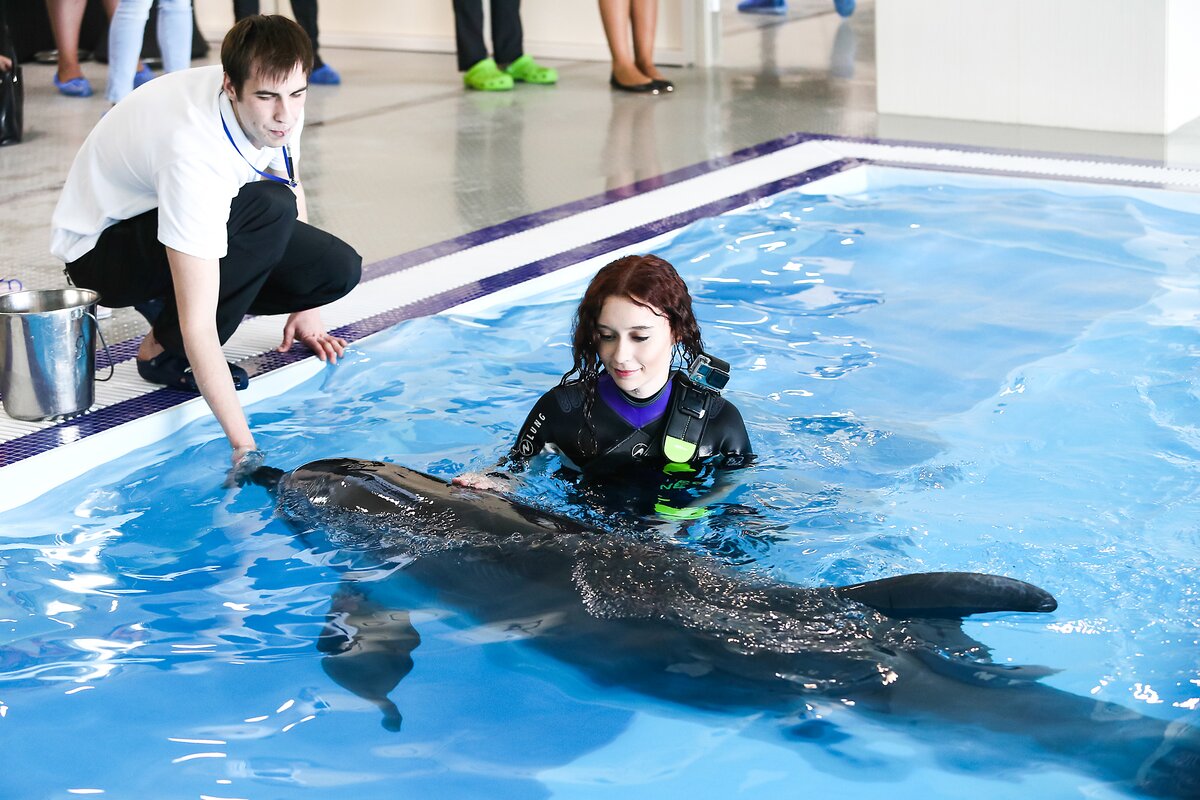 Москвариум поплавать. Москвариум на ВДНХ дельфины. Москвариум бассейн с дельфинами. Москвариум центр плавания с дельфинами. Дельфинарий на ВДНХ плавание с дельфинами.