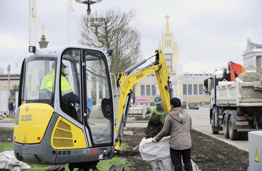 Посадка липовой аллеи на ВДНХ 2 фото