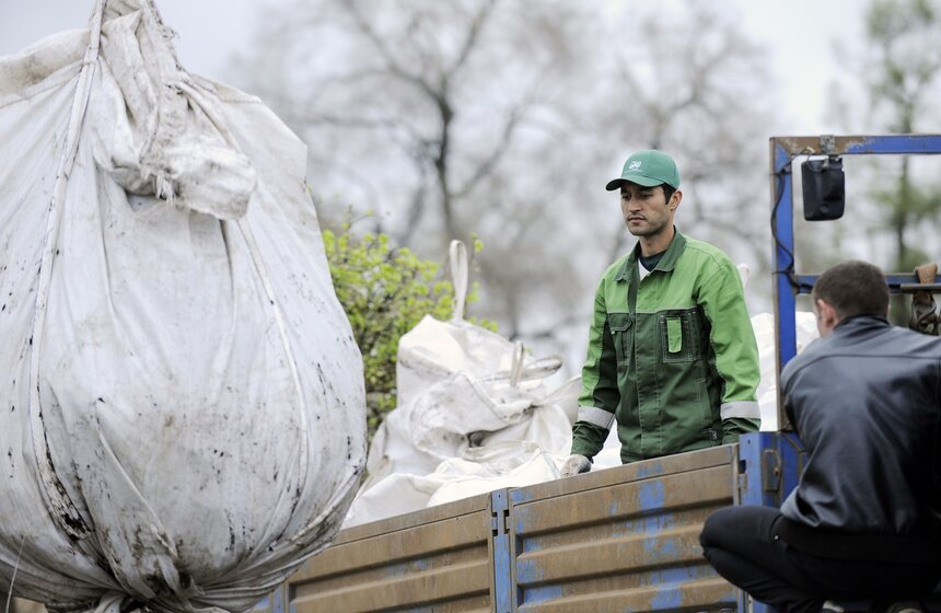 Посадка липовой аллеи на ВДНХ 5 фото