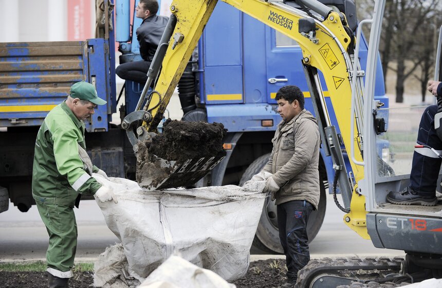 Посадка липовой аллеи на ВДНХ 4 фото