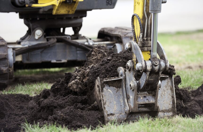 Посадка липовой аллеи на ВДНХ 3 фото