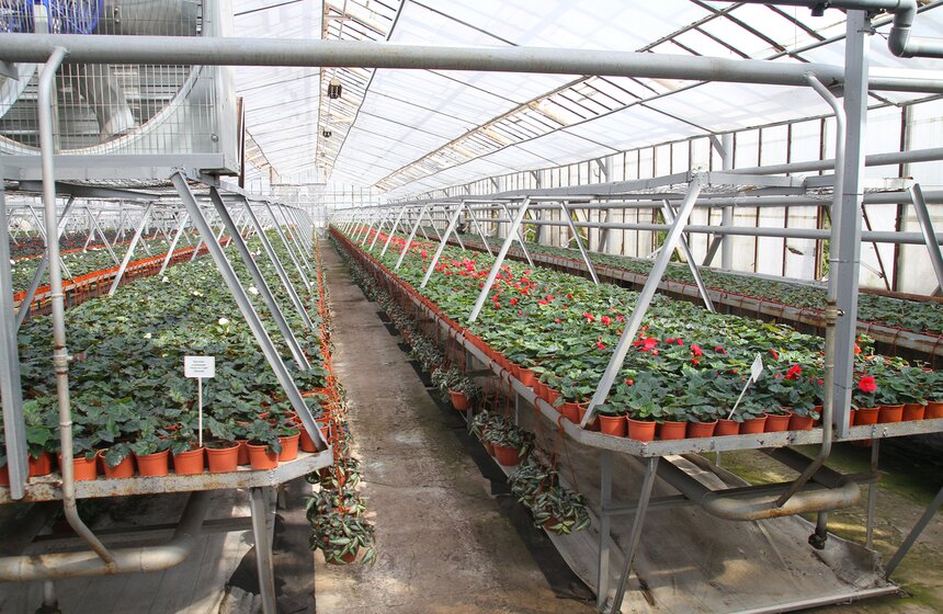 Сергей Собянин осмотрел Измайловский совхоз 11 фото