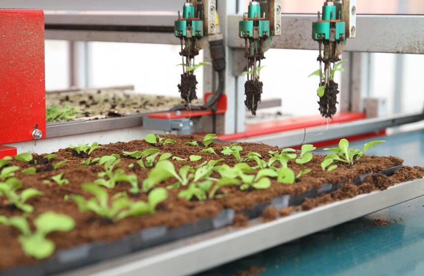 Сергей Собянин осмотрел Измайловский совхоз 15 фото