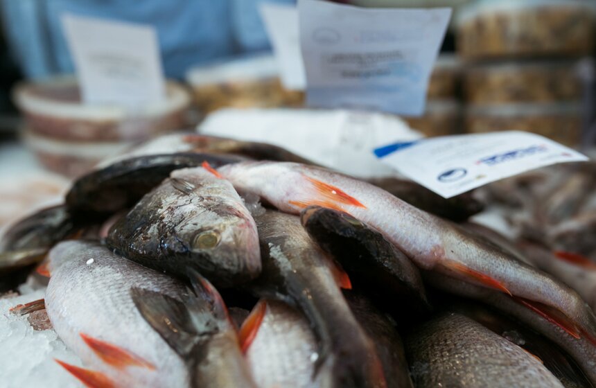 Открытие фестиваля "Рыбная неделя" 16 фото