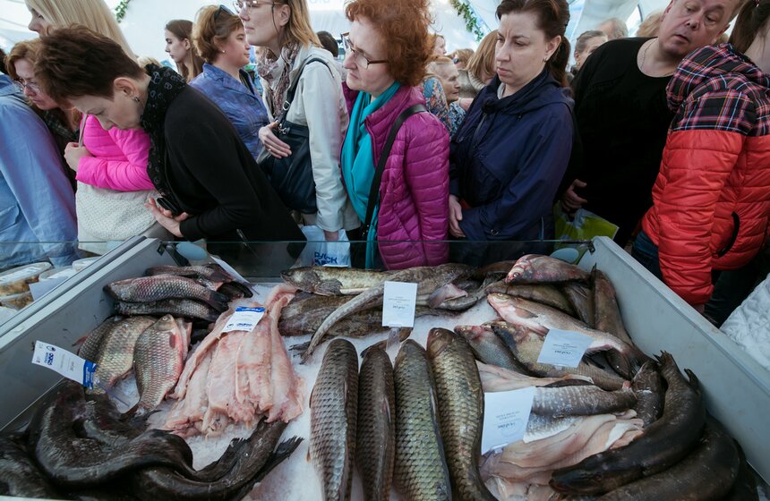 Открытие фестиваля "Рыбная неделя" 17 фото