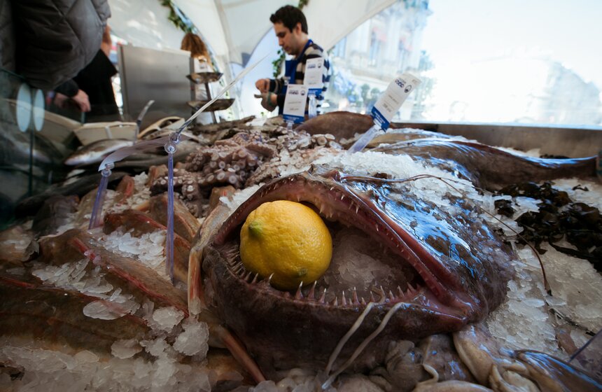 Открытие фестиваля "Рыбная неделя" 3 фото
