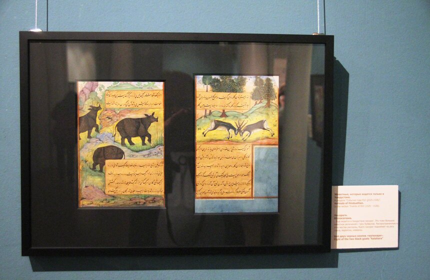Выставка миниатюр из книги "Бабур-наме" 20 фото