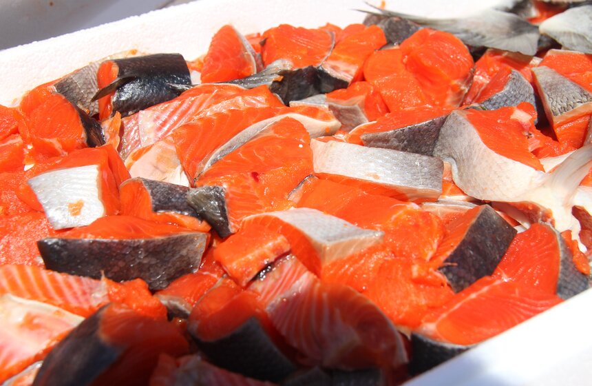 В Москве сварили уху на полторы тысячи порций 3 фото