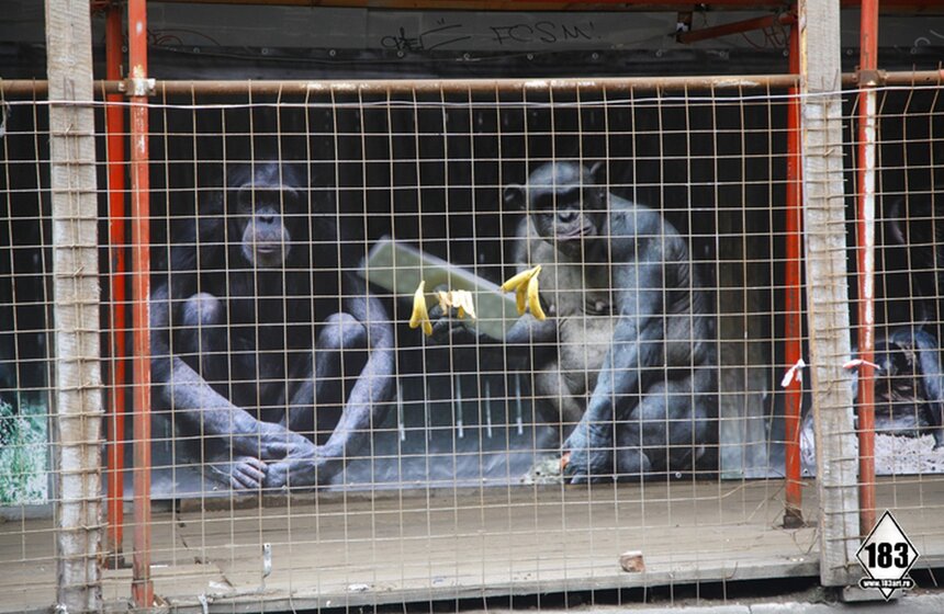 Умер уличный художник Паша 183 4 фото