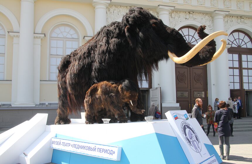 Фестиваль "Интермузей" в выставочном центре "Манеж" 2 фото