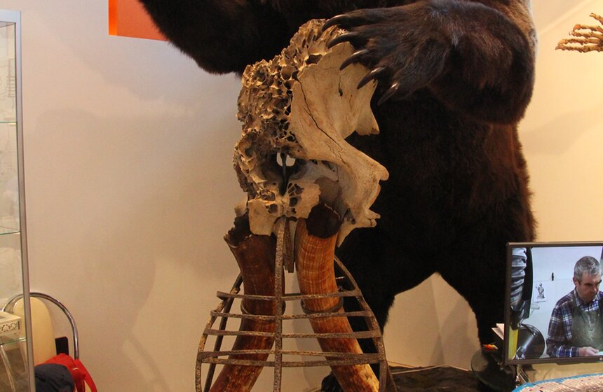 Фестиваль "Интермузей" в выставочном центре "Манеж" 11 фото