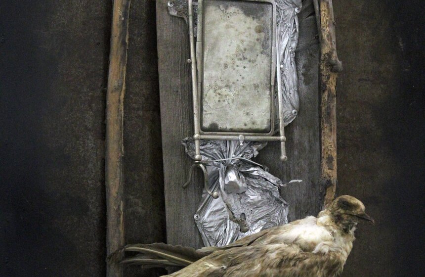 Выставка "Антология объекта" в Новом Манеже 16 фото