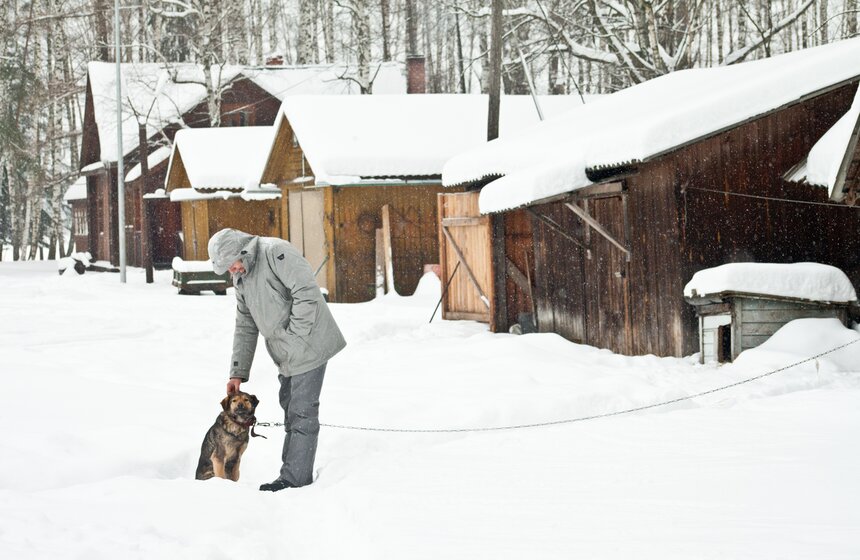 Как работает лосиная биостанция 11 фото