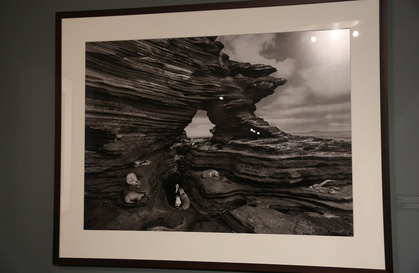 Выставка фотографа Себастио Сальгадо "Генезис" 14 фото