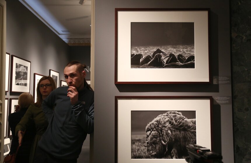 Выставка фотографа Себастио Сальгадо "Генезис" 5 фото