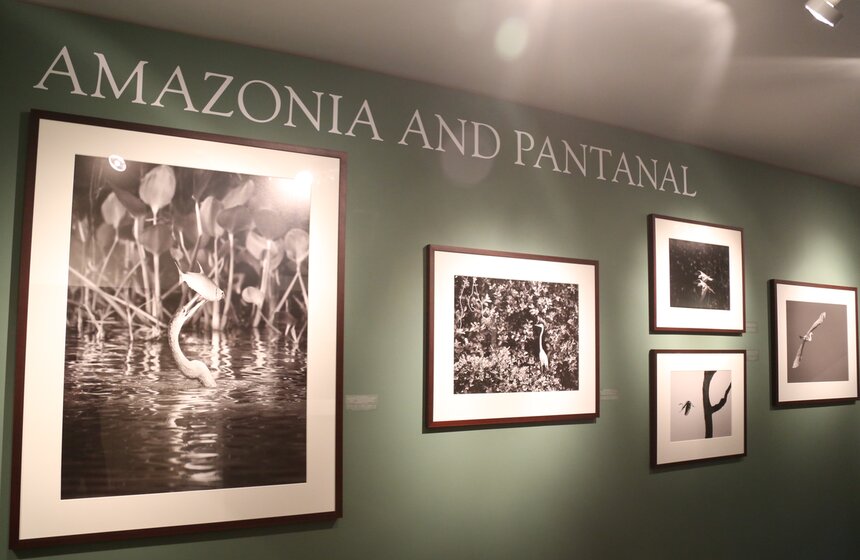 Выставка фотографа Себастио Сальгадо "Генезис" 6 фото