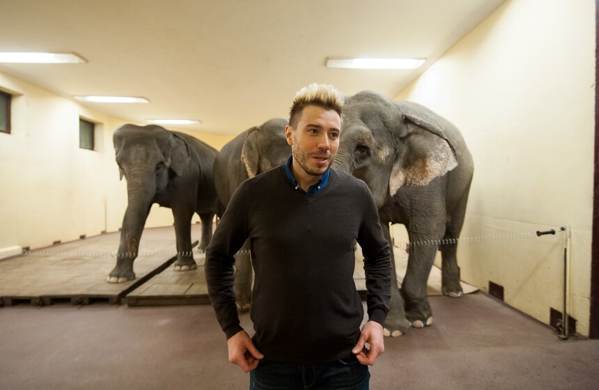 Участницы новой программы "БРАВО!" в цирке Никулина 3 фото