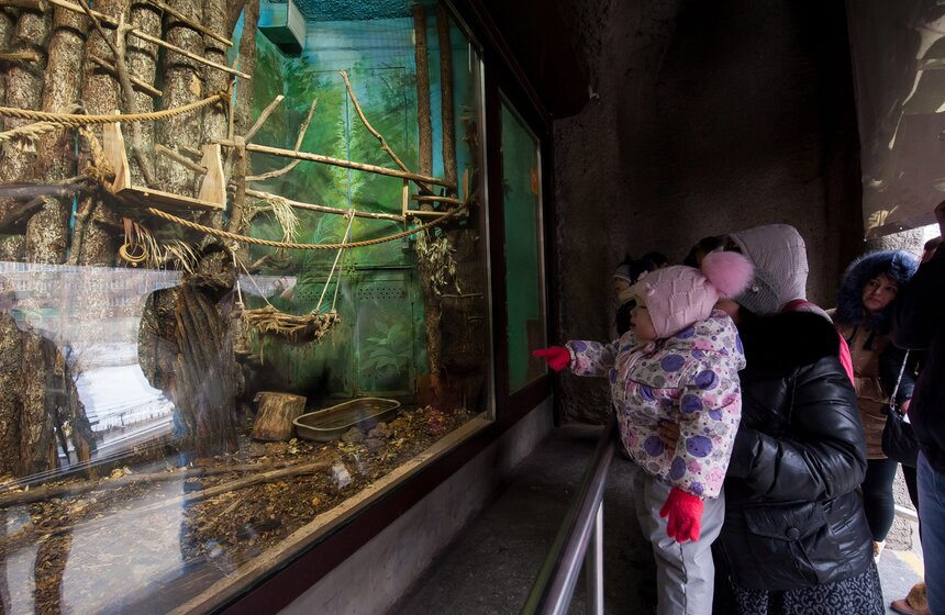 Московскому зоопарку исполнилось 152 года 19 фото