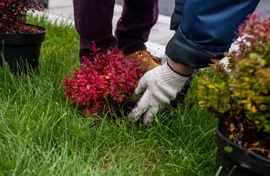 "Активные граждане" высадили деревья в центре столицы 27 фото