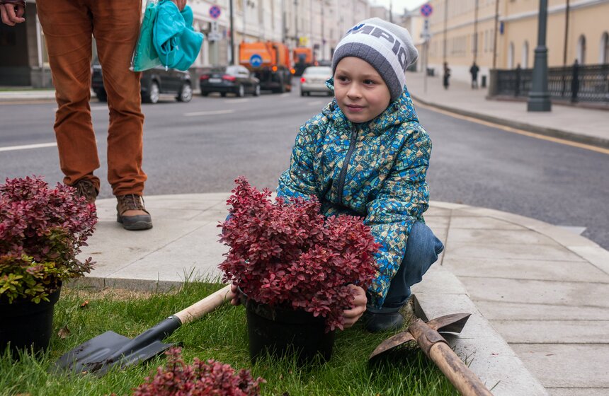 "Активные граждане" высадили деревья в центре столицы 28 фото