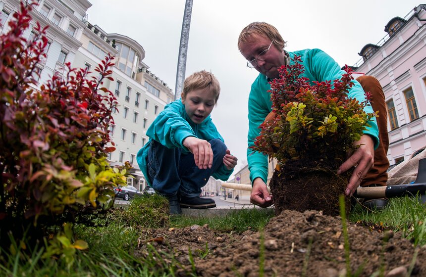 "Активные граждане" высадили деревья в центре столицы 31 фото