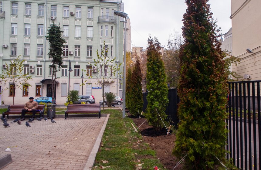 "Активные граждане" высадили деревья в центре столицы 36 фото
