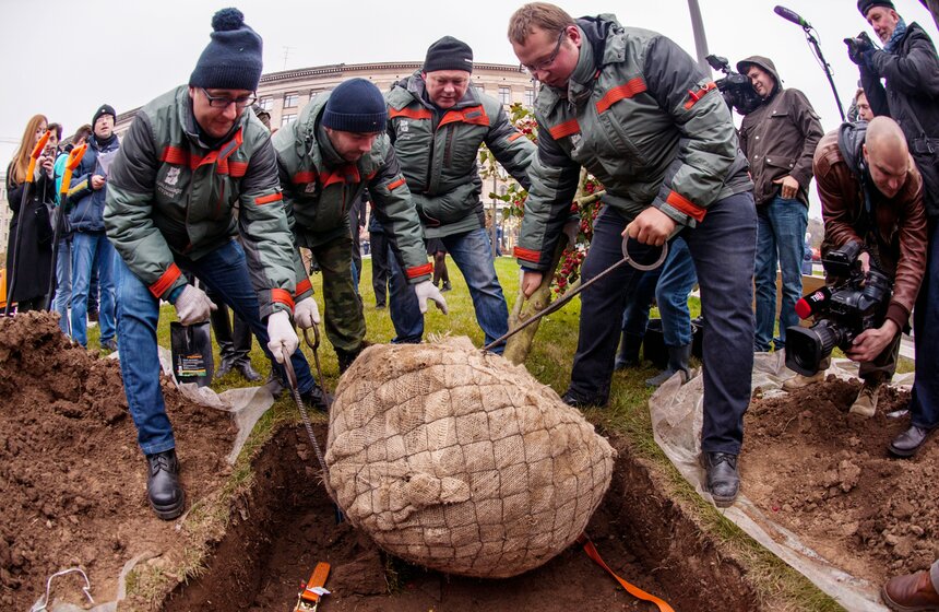 "Активные граждане" высадили деревья в центре столицы 9 фото
