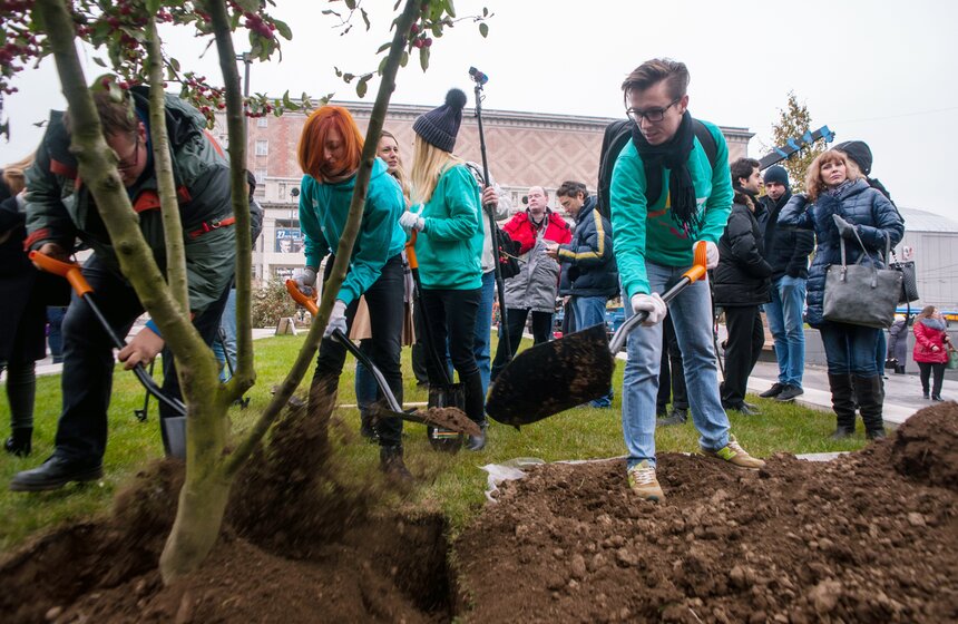 "Активные граждане" высадили деревья в центре столицы 11 фото