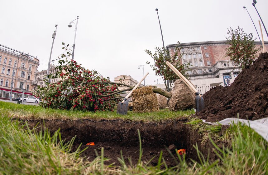 "Активные граждане" высадили деревья в центре столицы 1 фото