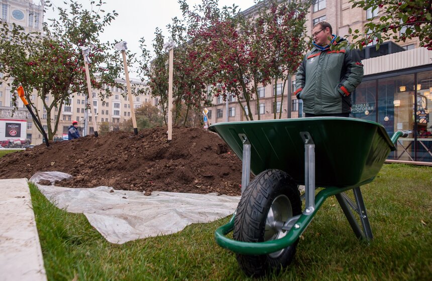 "Активные граждане" высадили деревья в центре столицы 4 фото