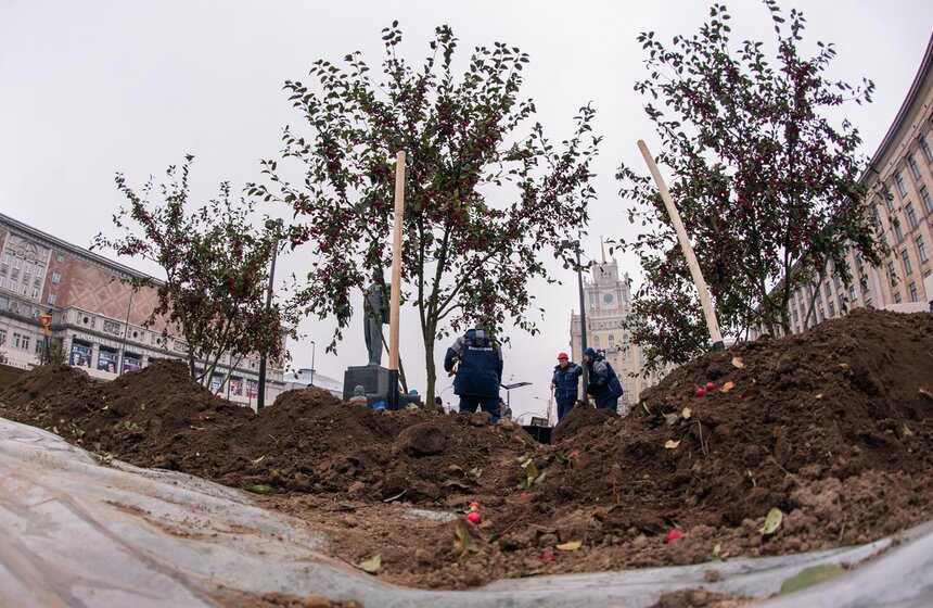"Активные граждане" высадили деревья в центре столицы 3 фото