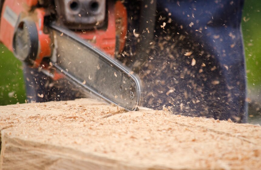 Симпозиум по скульптуре из дерева "Между небом и водой" 5 фото