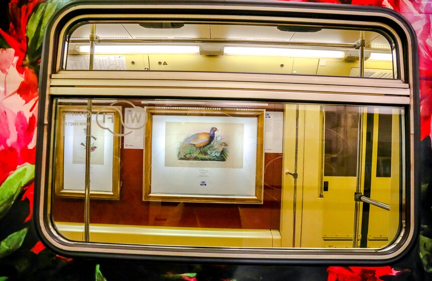 В метро запущен поезд Русского географического общества 9 фото