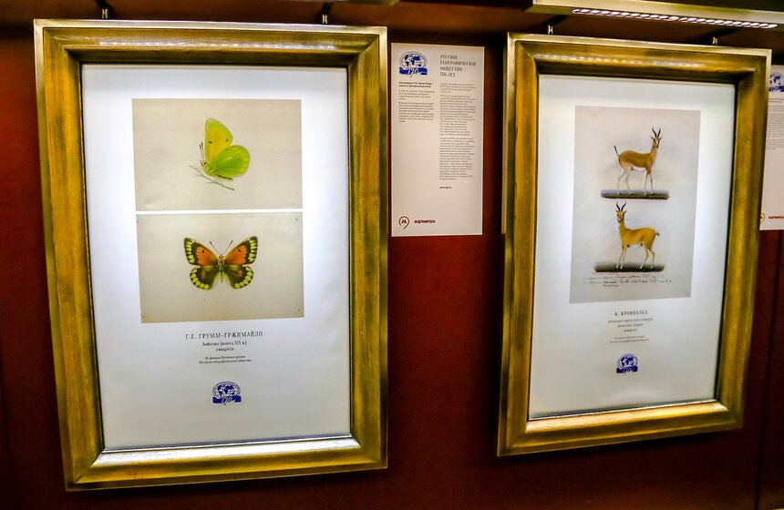 В метро запущен поезд Русского географического общества 16 фото