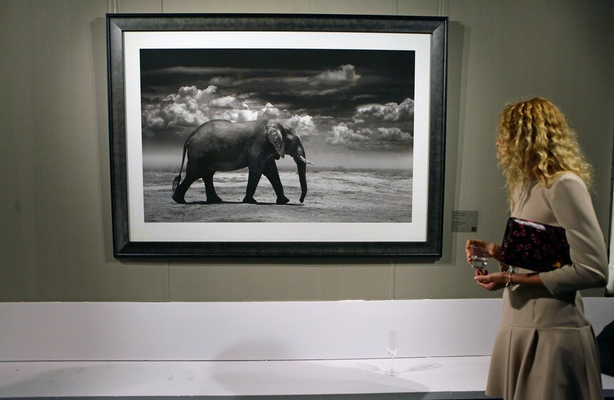 Выставка "Исчезающая Африка" в Центре фотографии Братьев Люмьер 8 фото