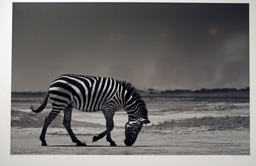 Выставка "Исчезающая Африка" в Центре фотографии Братьев Люмьер 14 фото