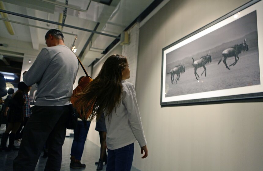Выставка "Исчезающая Африка" в Центре фотографии Братьев Люмьер 16 фото