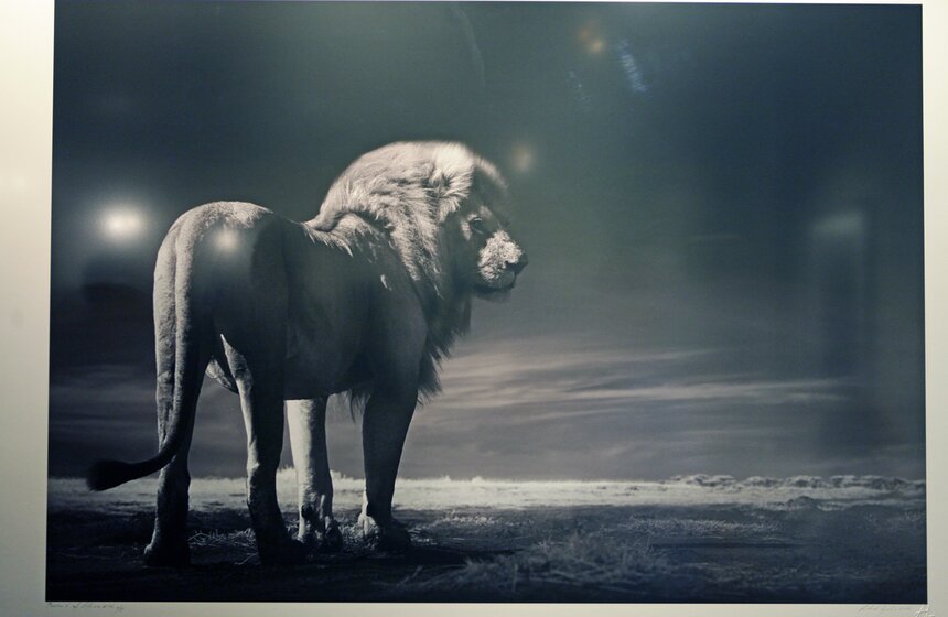 Выставка "Исчезающая Африка" в Центре фотографии Братьев Люмьер 15 фото