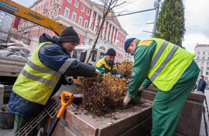 Липы на Тверской улице заменили "зимними" деревьями 21 фото