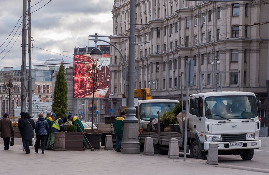 Липы на Тверской улице заменили "зимними" деревьями 24 фото