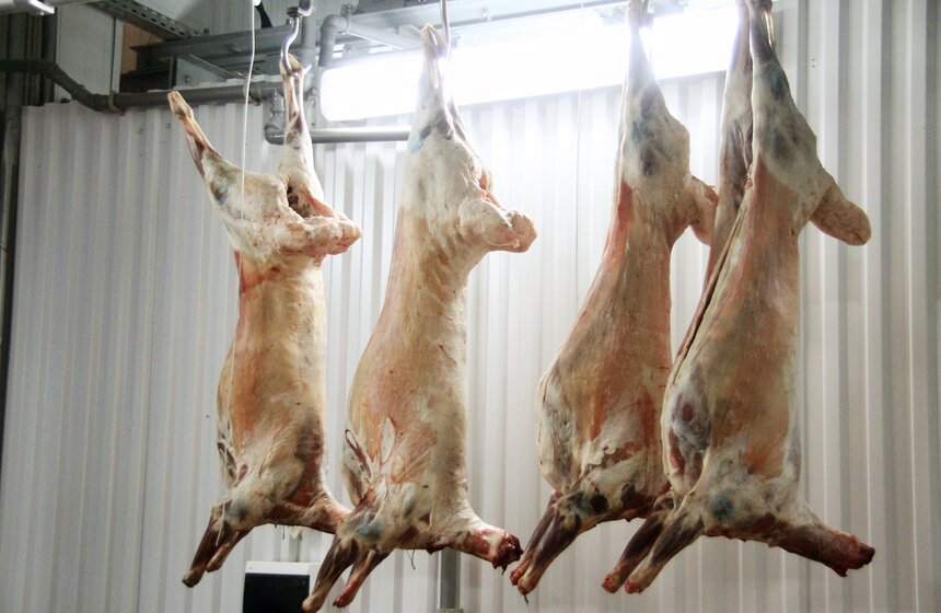 Сергей Собянин оценил работу агрокластера "Фуд Сити" 9 фото