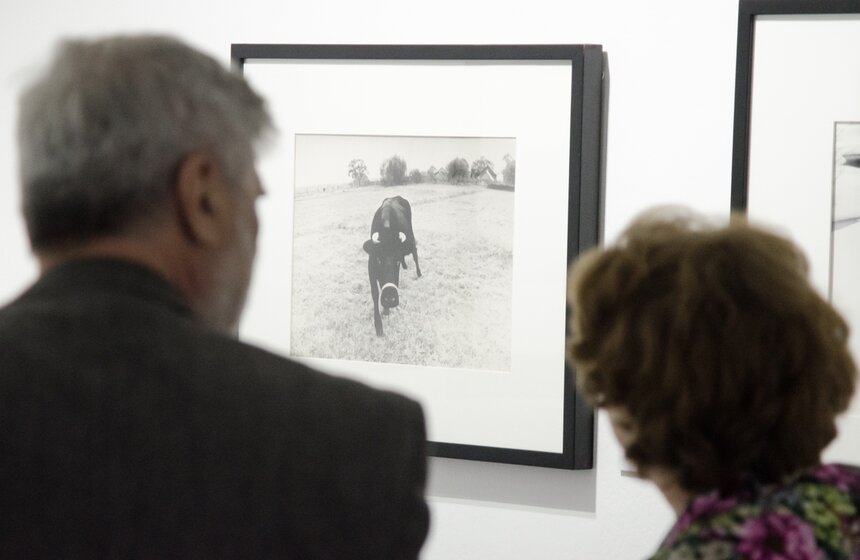 Выставки "Жизнь в фотографии" и "6 месяцев мечтаний" в МАММ 6 фото