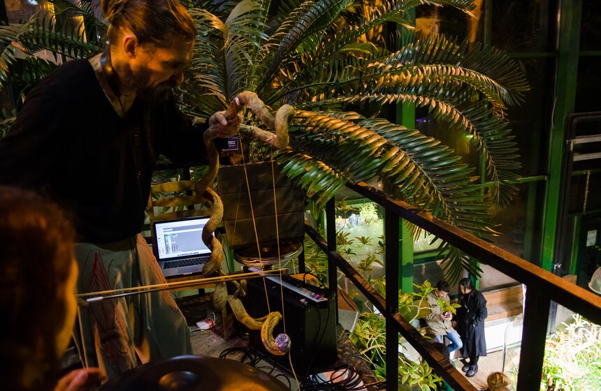 Хэллоуин в "Аптекарском": концерт в тропиках и "Кленовый Джек" 10 фото