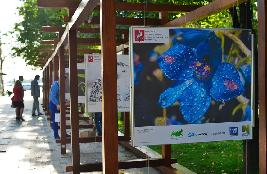 Фотовыставка под открытым небом "Природа смотрит на тебя" 2 фото